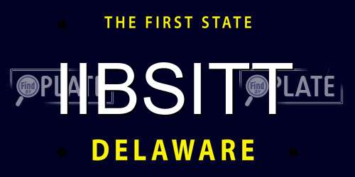 IIBSITT Delaware License Plate