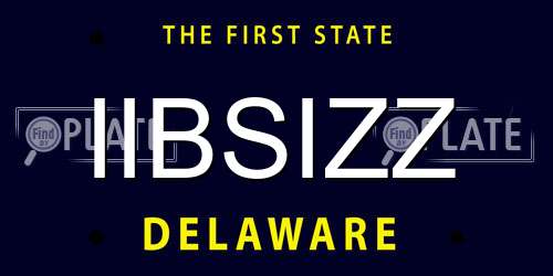 IIBSIZZ Delaware License Plate