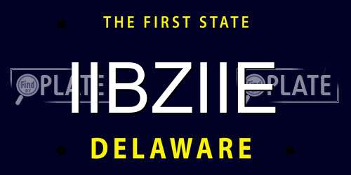 IIBZIIE Delaware License Plate