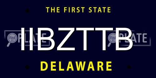 IIBZTTB Delaware License Plate