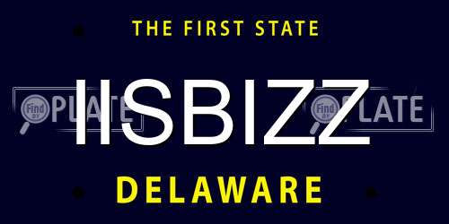 IISBIZZ Delaware License Plate