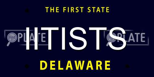 IITISTS Delaware License Plate