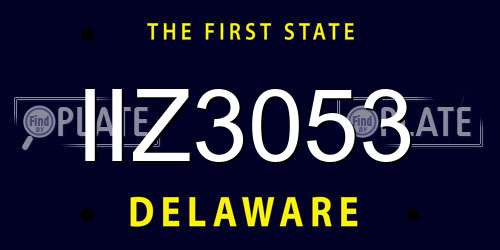 IIZ3053 Delaware License Plate