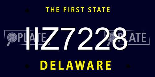 IIZ7228 Delaware License Plate