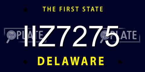 IIZ7275 Delaware License Plate