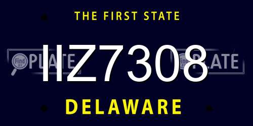 IIZ7308 Delaware License Plate