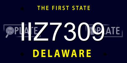 IIZ7309 Delaware License Plate
