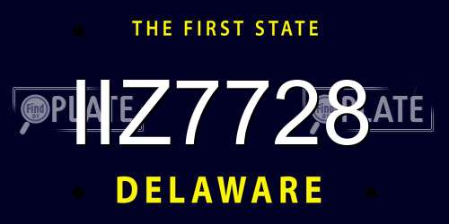 IIZ7728 Delaware License Plate