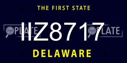 IIZ8717 Delaware License Plate