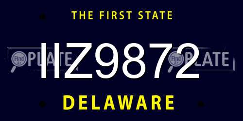 IIZ9872 Delaware License Plate