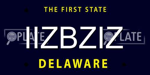 IIZBZIZ Delaware License Plate