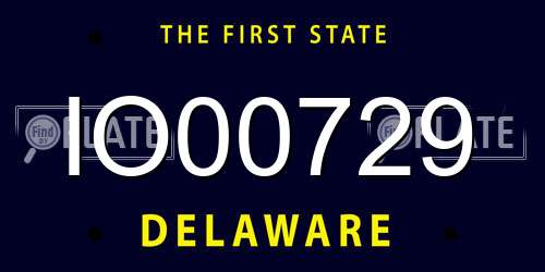 IO00729 Delaware License Plate