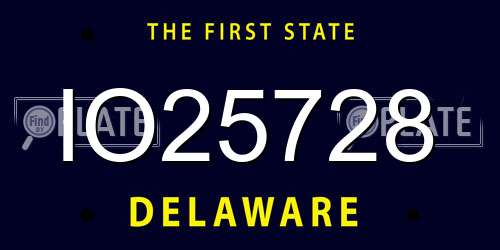 IO25728 Delaware License Plate