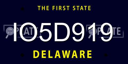 IO5D919 Delaware License Plate