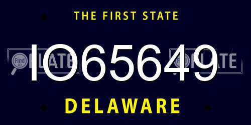 IO65649 Delaware License Plate