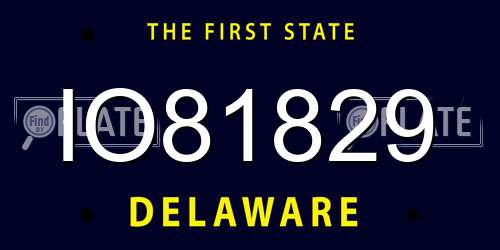 IO81829 Delaware License Plate