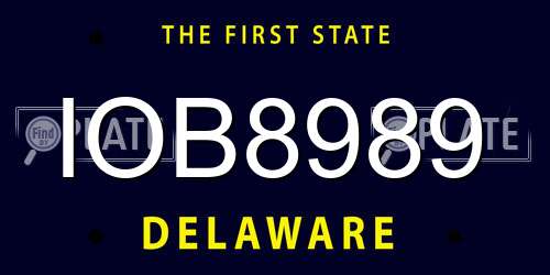 IOB8989 Delaware License Plate