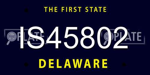 IS45802 Delaware License Plate