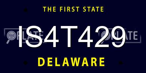 IS4T429 Delaware License Plate