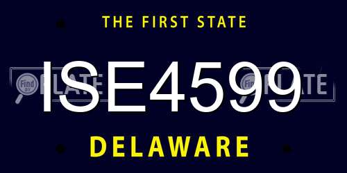 ISE4599 Delaware License Plate