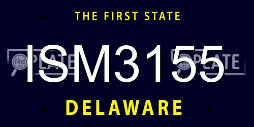 ISM3155 Delaware License Plate