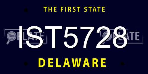 IST5728 Delaware License Plate