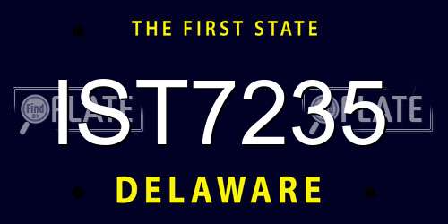 IST7235 Delaware License Plate