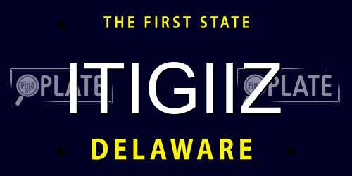 ITIGIIZ Delaware License Plate