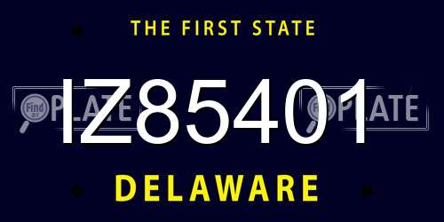IZ85401 Delaware License Plate