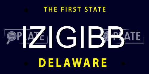 IZIGIBB Delaware License Plate