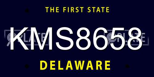 KMS8658 Delaware License Plate