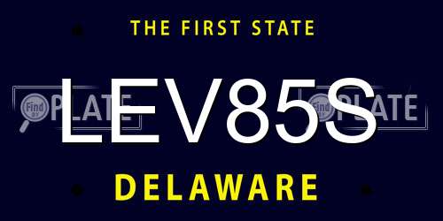LEV85S Delaware License Plate