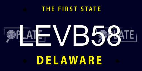 LEVB58 Delaware License Plate