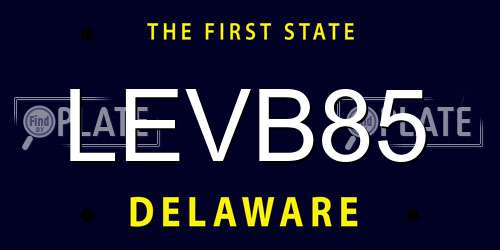LEVB85 Delaware License Plate