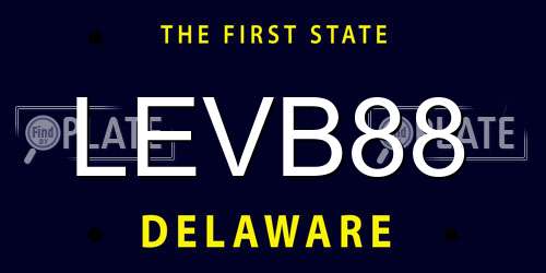 LEVB88 Delaware License Plate