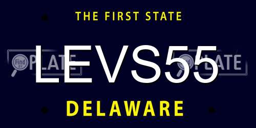 LEVS55 Delaware License Plate