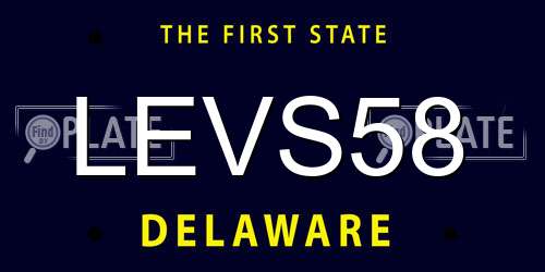 LEVS58 Delaware License Plate