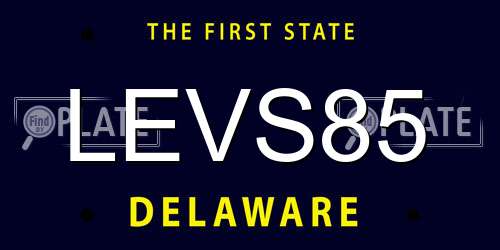 LEVS85 Delaware License Plate