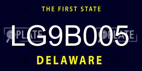 LG9B005 Delaware License Plate