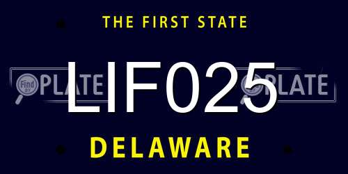 LIF025 Delaware License Plate