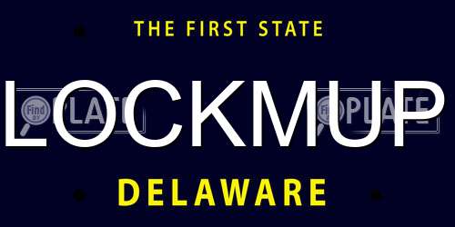 LOCKMUP Delaware License Plate