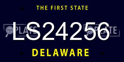 LS24256 Delaware License Plate
