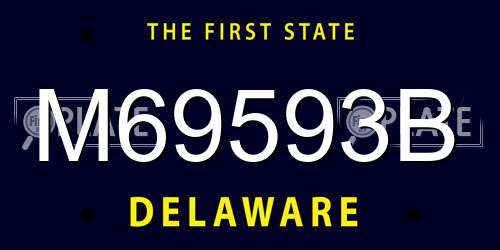 M69593B Delaware License Plate