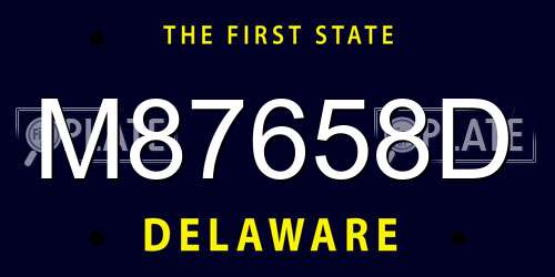 M87658D Delaware License Plate