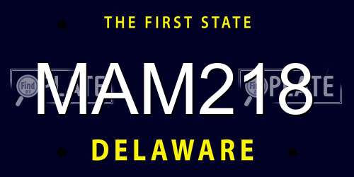 MAM218 Delaware License Plate