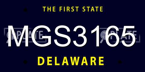 MGS3165 Delaware License Plate