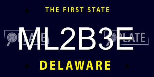 ML2B3E Delaware License Plate