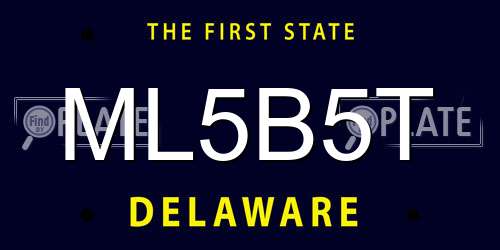 ML5B5T Delaware License Plate