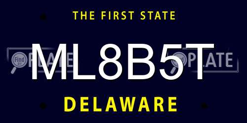 ML8B5T Delaware License Plate