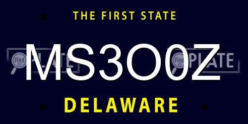 MS3O0Z Delaware License Plate